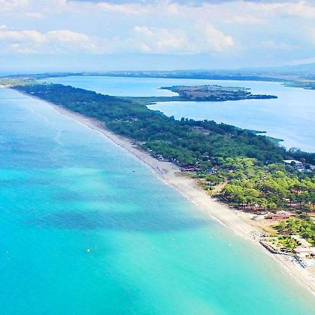 Chambres D Hotes A 20 Pas De La Plage Lucciana  Esterno foto